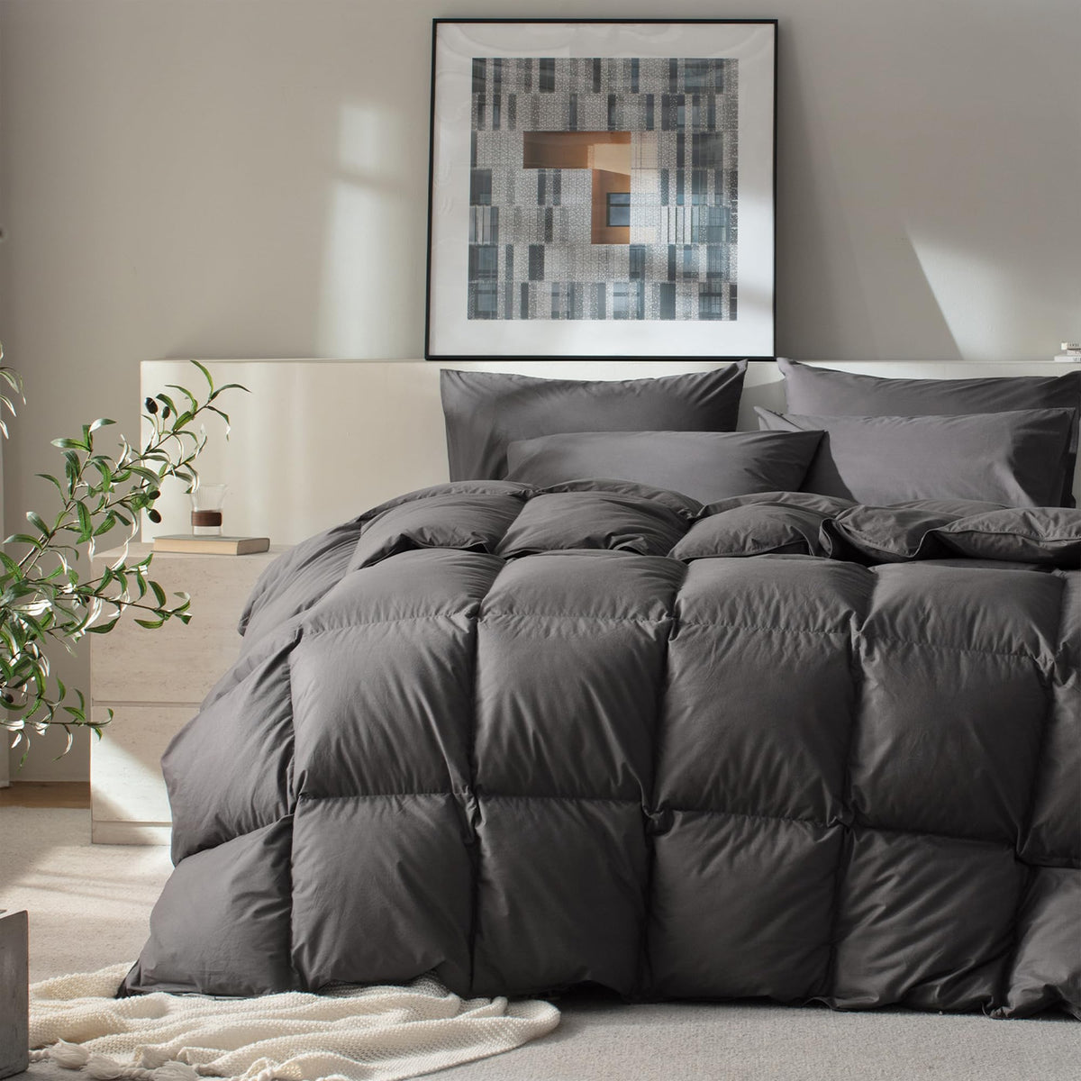 WENERSI front packaging showing oversized king comforter and brand benefit