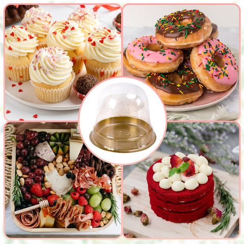 Whaline cupcake in clear container demonstrating presentation and protection