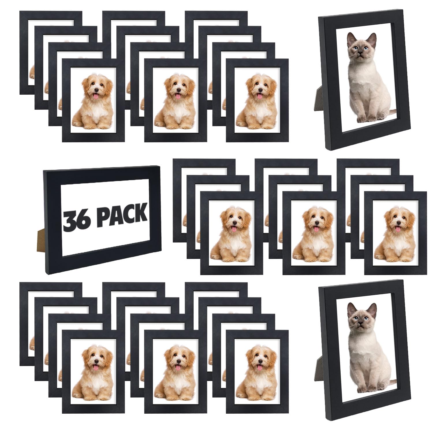 WHEATHUSK front pack showing 36 frames and neat storage benefit