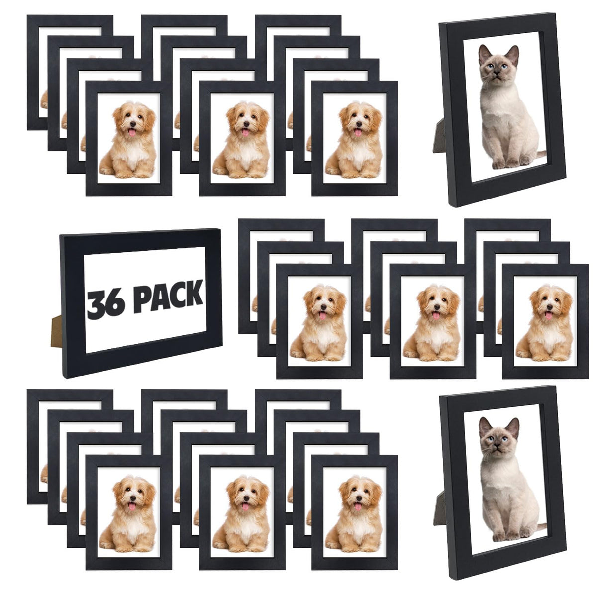 WHEATHUSK front pack showing 36 frames and neat storage benefit