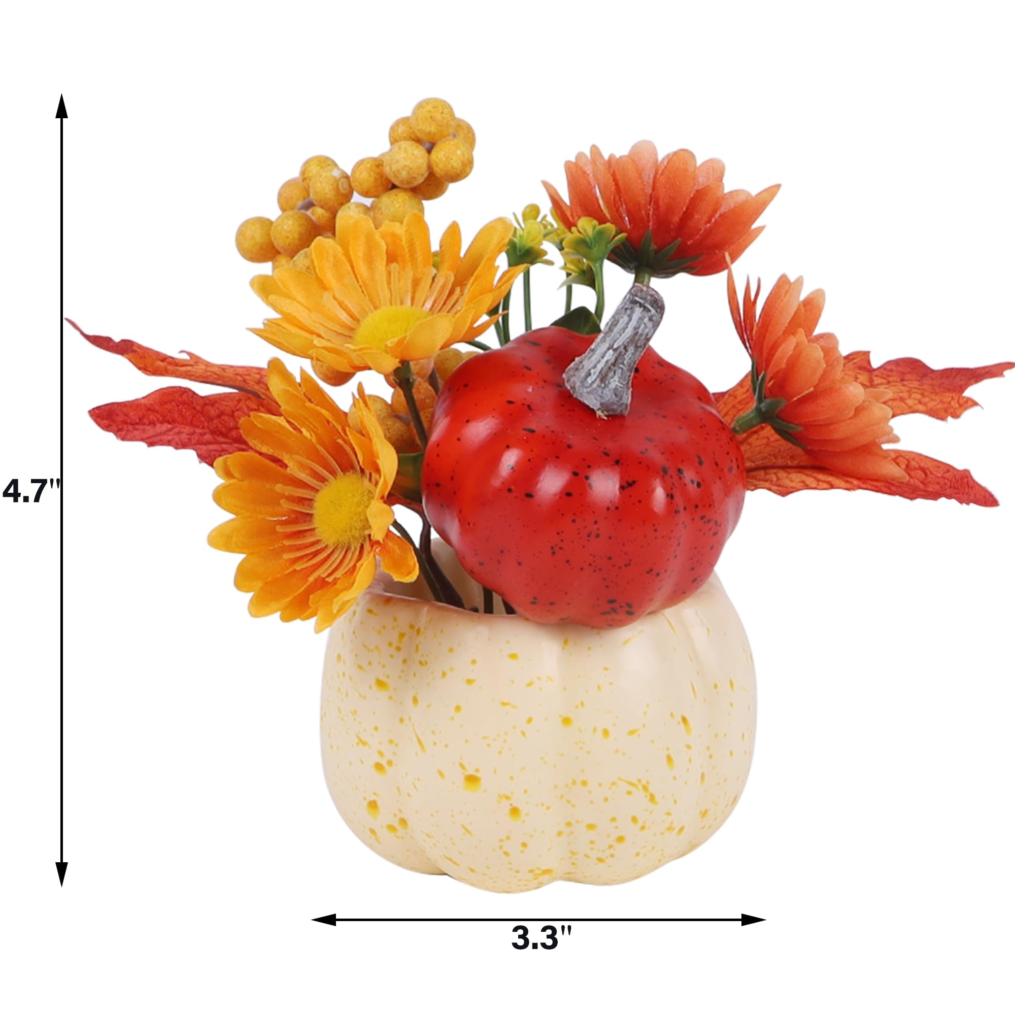 winemana pumpkin arranged in decorative bowl for quick styling
