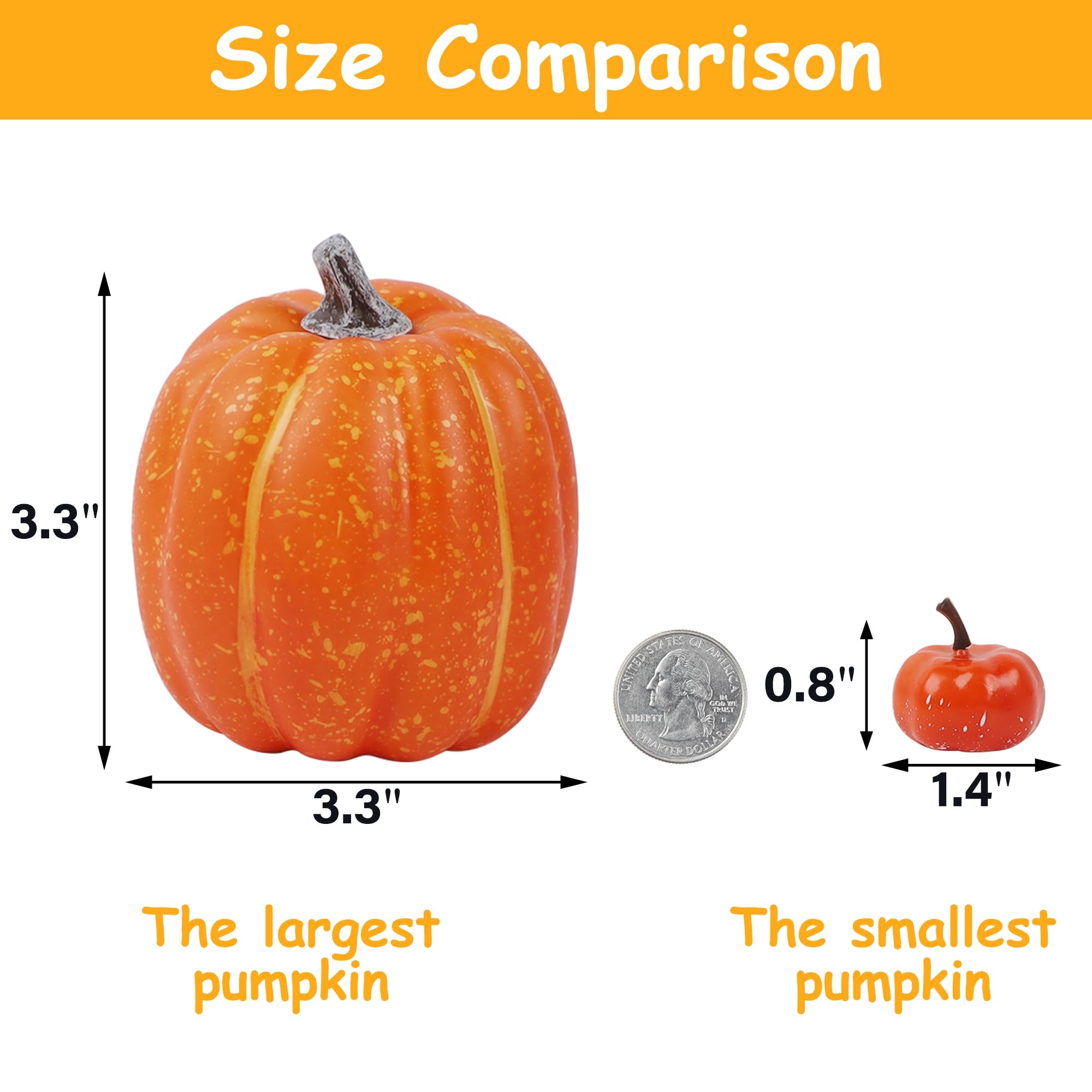winemana pumpkin beside ruler showing size options for planning displays