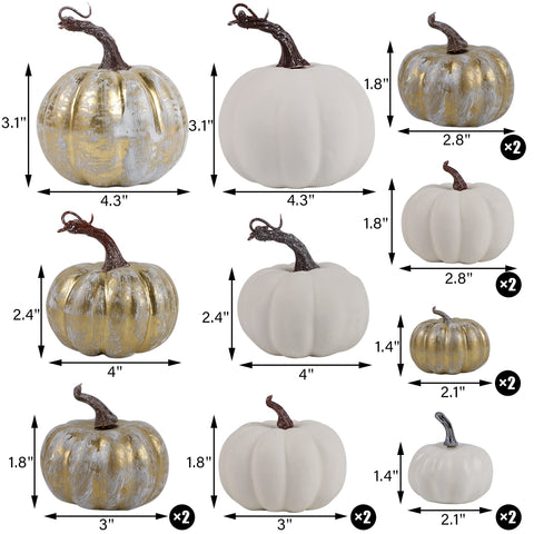 winemana assorted pumpkins arranged on a table for layered styling
