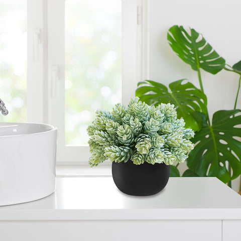 Winlyn bathroom windowsill styling brightening moisture-prone spaces safely