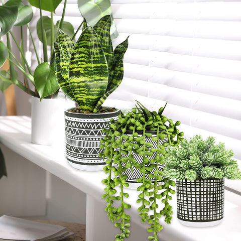 Winlyn snake plant leaf detail emphasizing waxy realism and durable material benefit