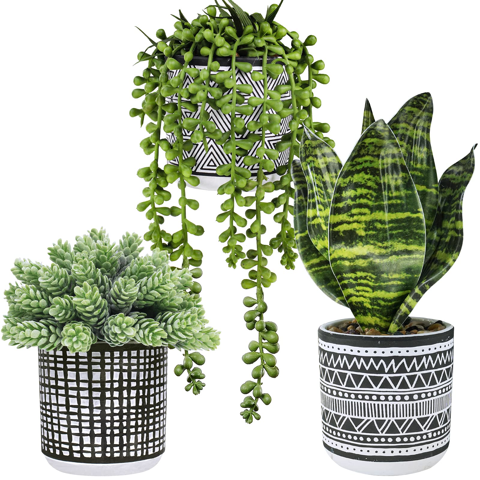 Winlyn front view of three potted plants showing cohesive modern decor benefit