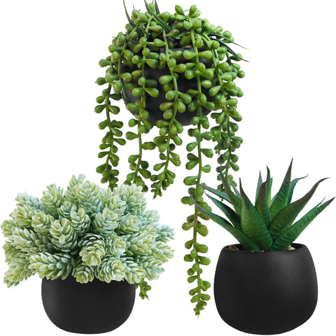 Winlyn trio front view in black concrete pots, instant maintenance-free greenery
