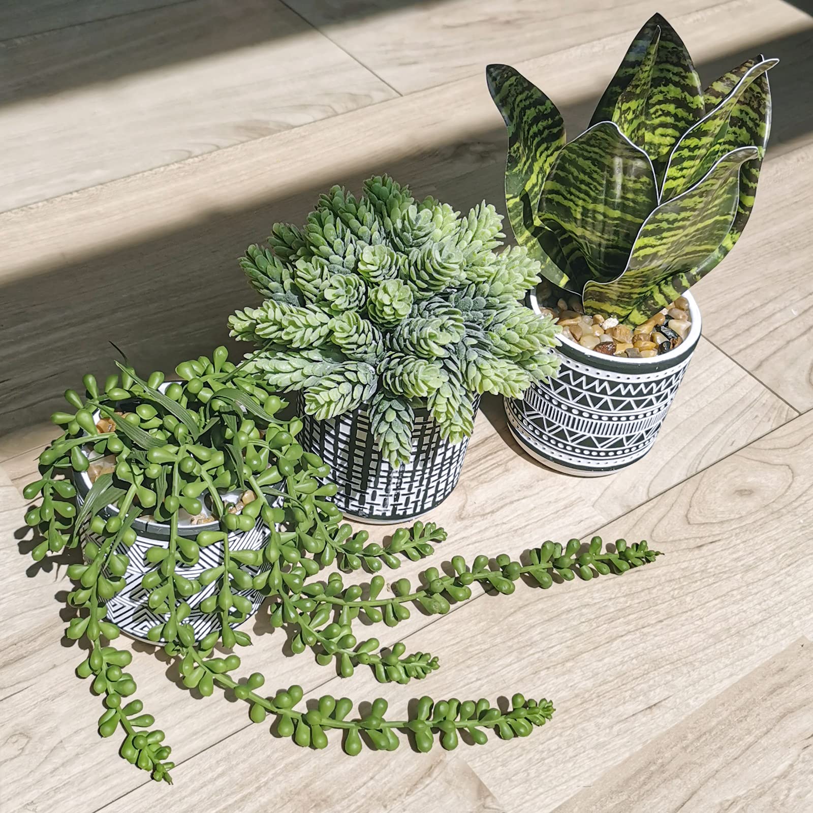 Winlyn office desk styling showing tidy plant accents improving workspace vibe benefit