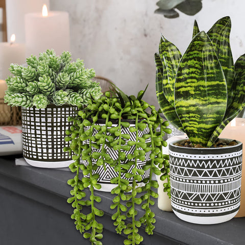 Winlyn black concrete pot carved geometric pattern showcasing contemporary design benefit