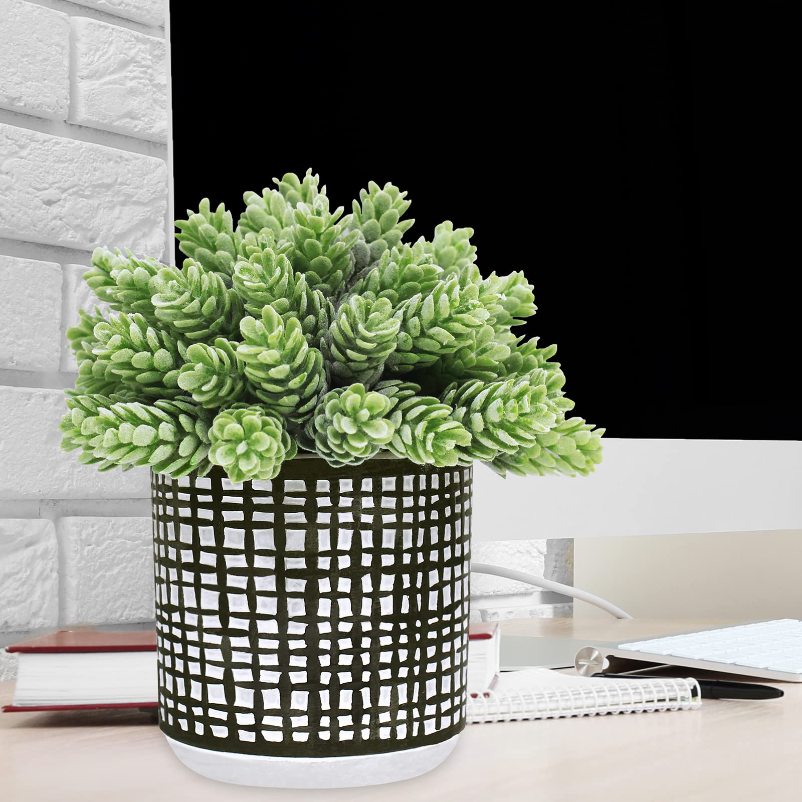Winlyn staged windowsill display demonstrating space-saving greenery benefit