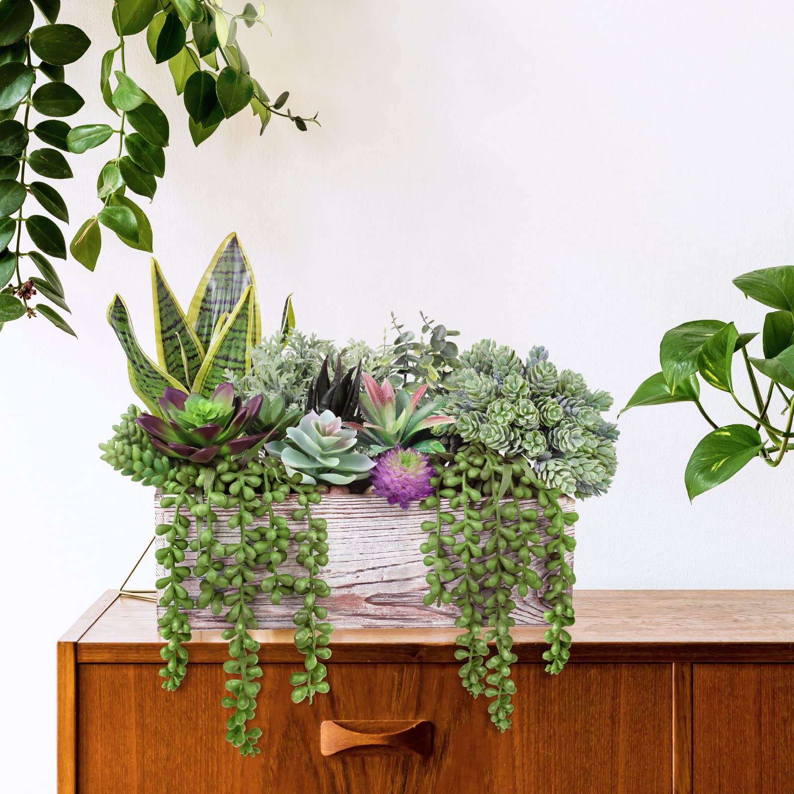 Winlyn burro's tail and sedum textures adding layered, natural appearance