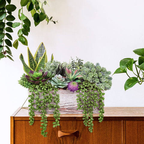 Winlyn burro's tail and sedum textures adding layered, natural appearance