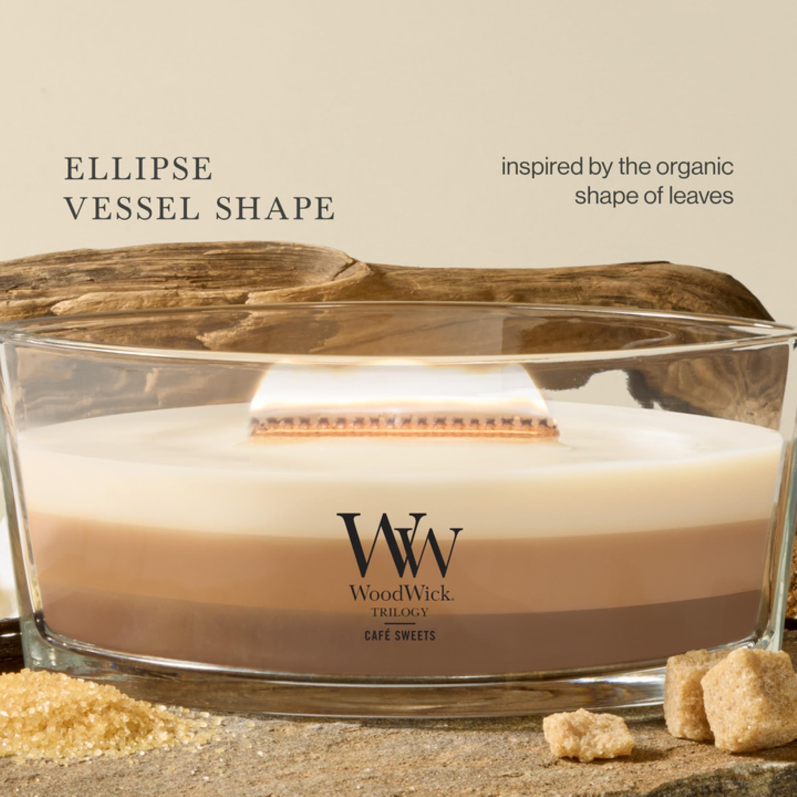 WoodWick candle beside hand for scale showing compact elegant size