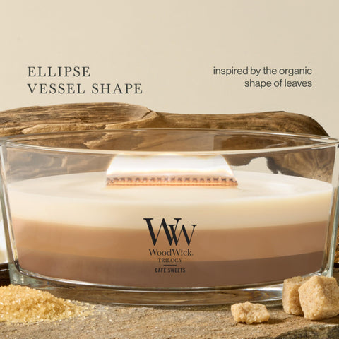 WoodWick candle beside hand for scale showing compact elegant size