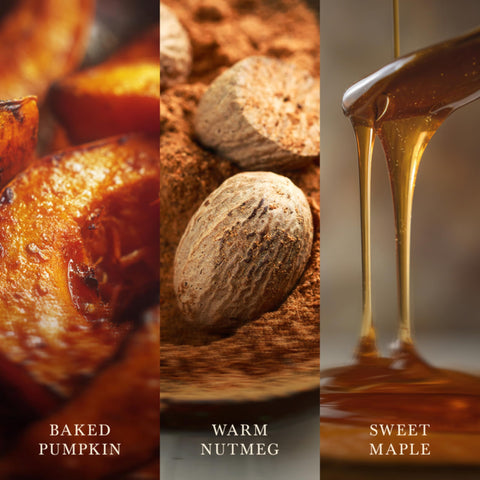 WoodWick(ウッドウィック) Hearthwick wooden wick close-up adding a cozy crackling ambiance