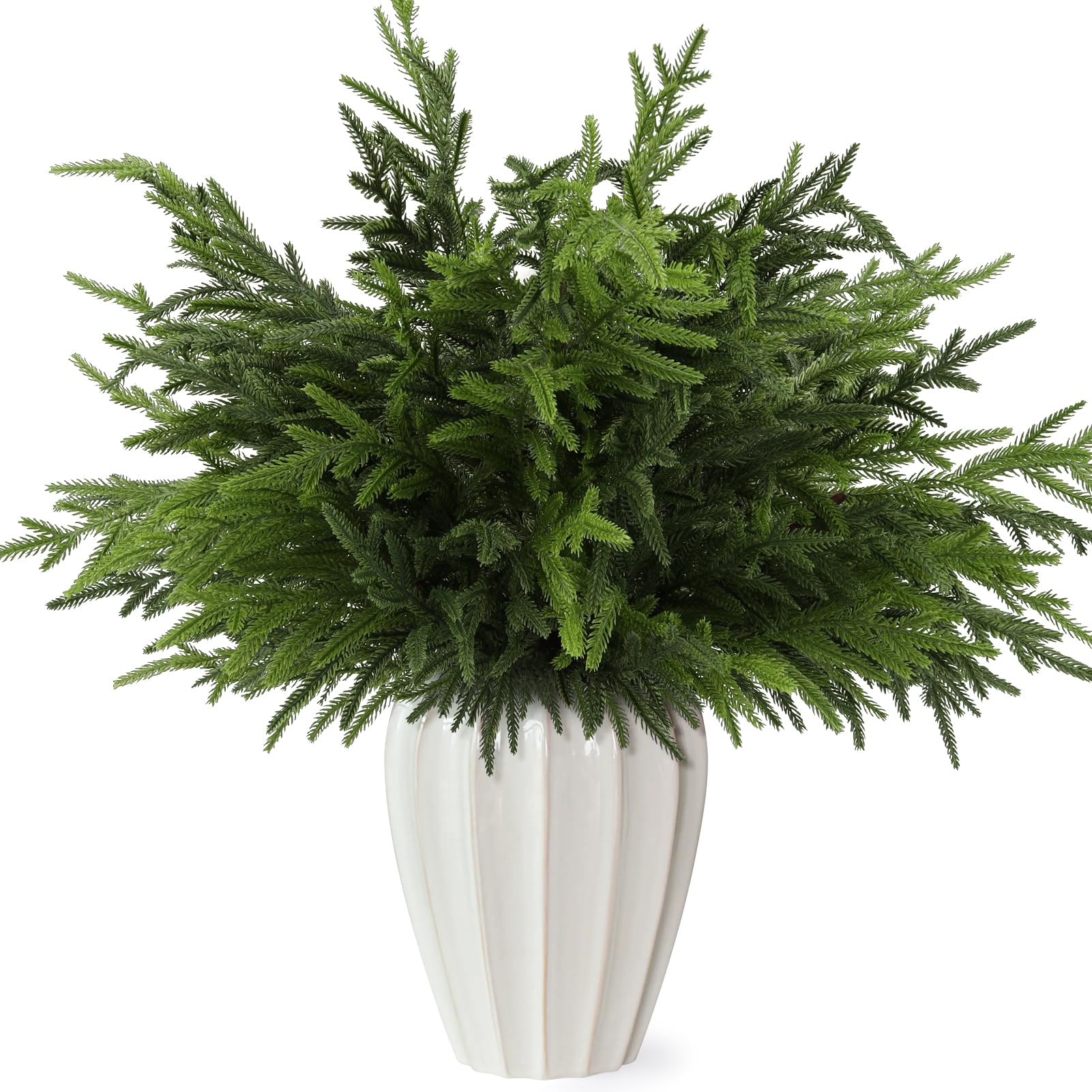 Wsorik front view of bundled Norfolk pine stems showing full set and packaging, versatile styling