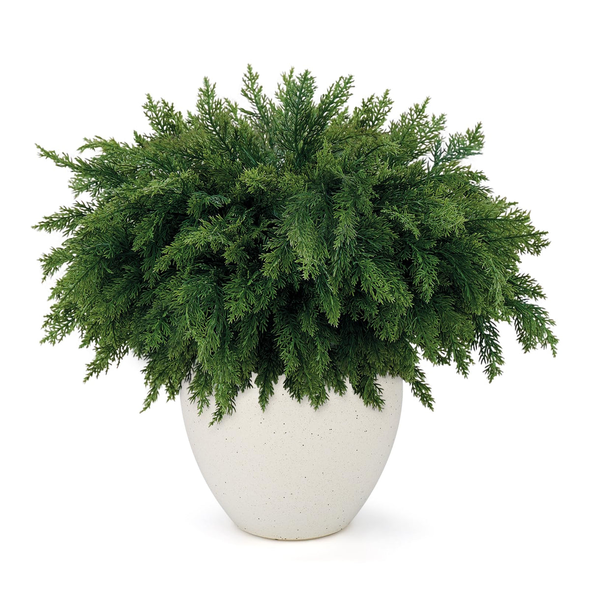 Wsorik stems in vase showing full evergreen look and easy styling
