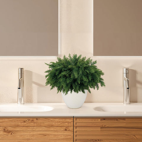 Wsorik stems beside ruler showing 18-inch size for planning
