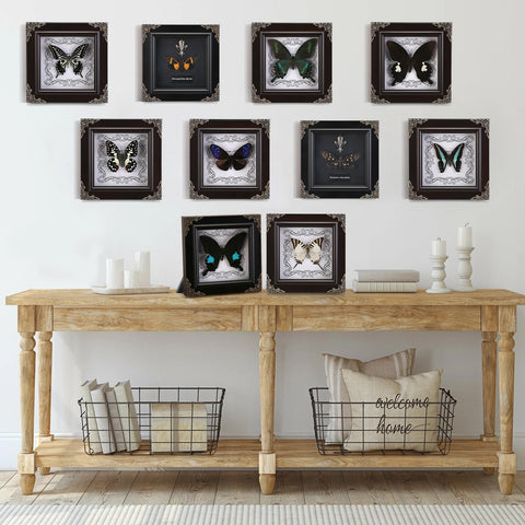 WTUAWB back of frame with hanging hardware for easy wall or shelf installation
