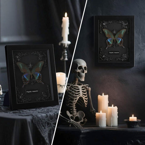 WTUAWB framed butterfly on wall in living room offering gothic decor impact benefit