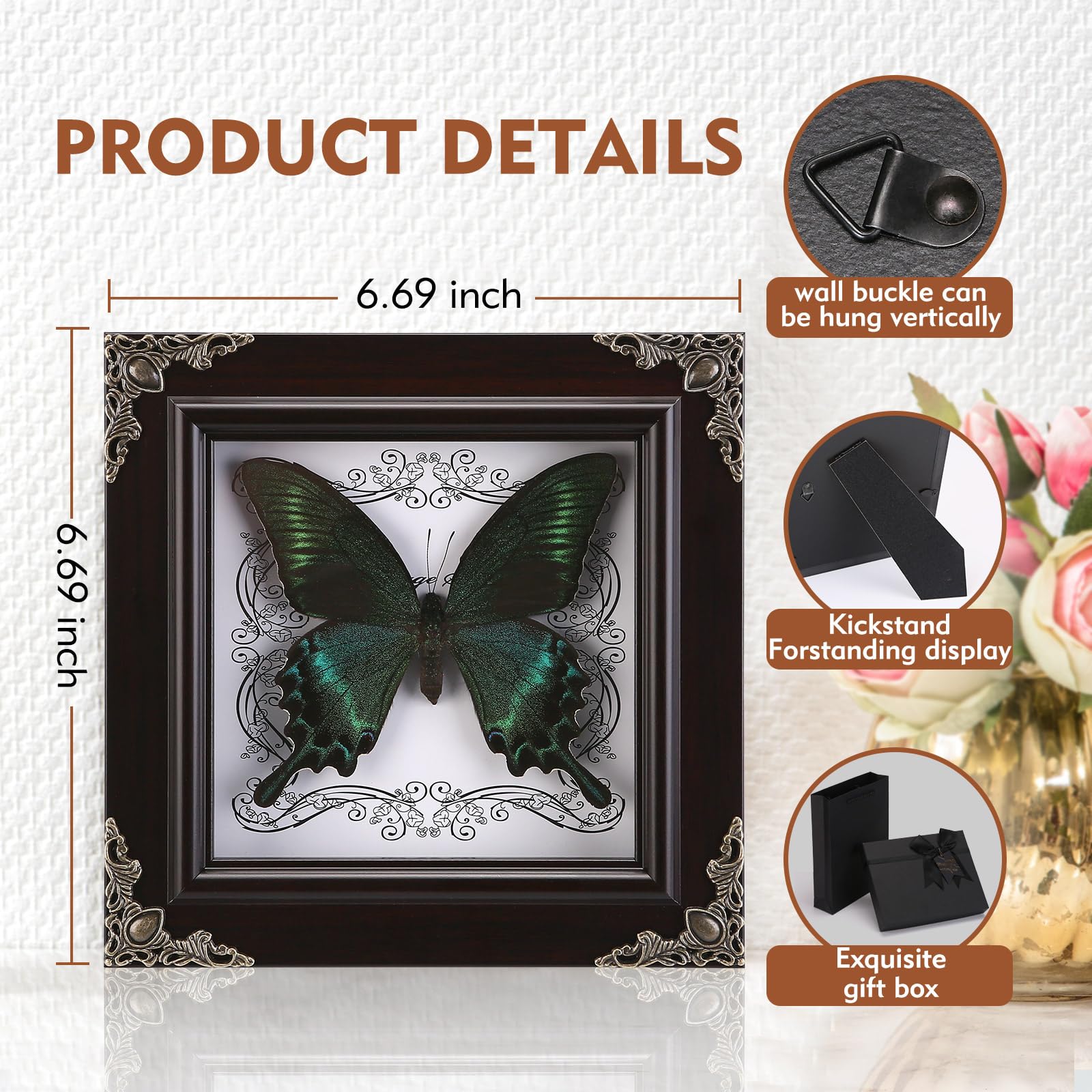 WTUAWB butterfly shadow box styled on dark academia shelf adding gothic atmosphere