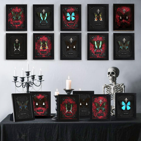 WTUAWB framed butterfly displayed in gothic living room adding dramatic decor benefit