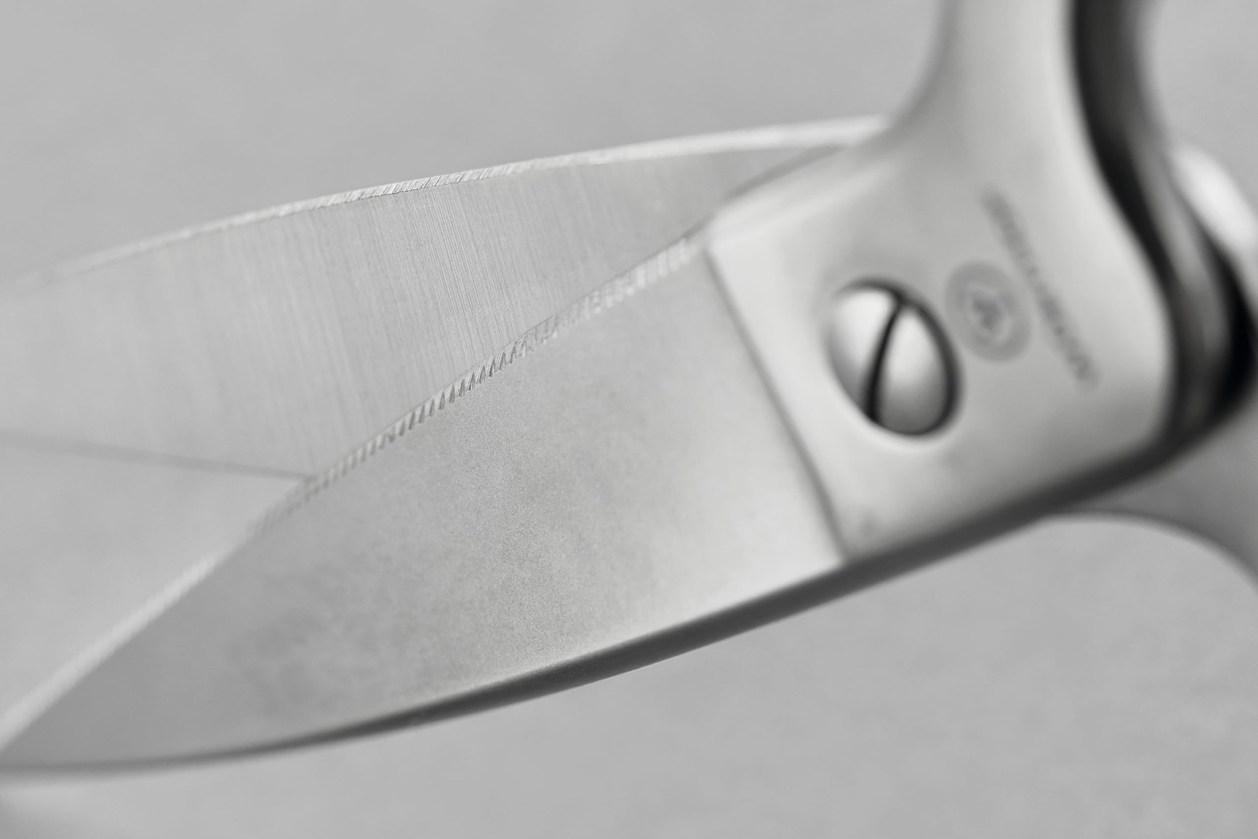 Wüsthof close-up of stainless blade edge highlighting sharpness and durability