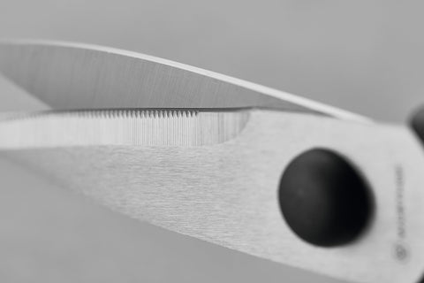 Wüsthof shears in hand showing size and ergonomic comfortable grip
