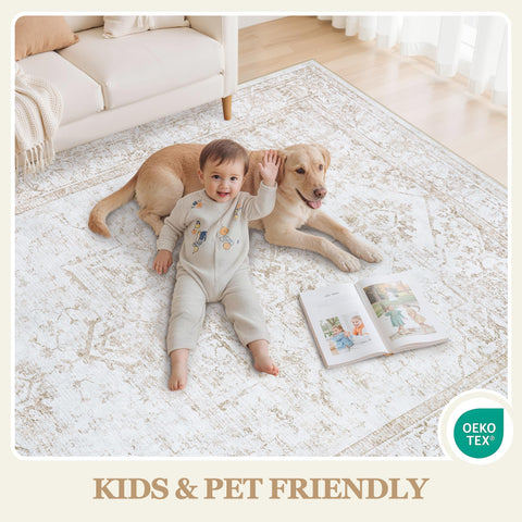 Xafir rug styled in living room adding warmth and cohesive decor