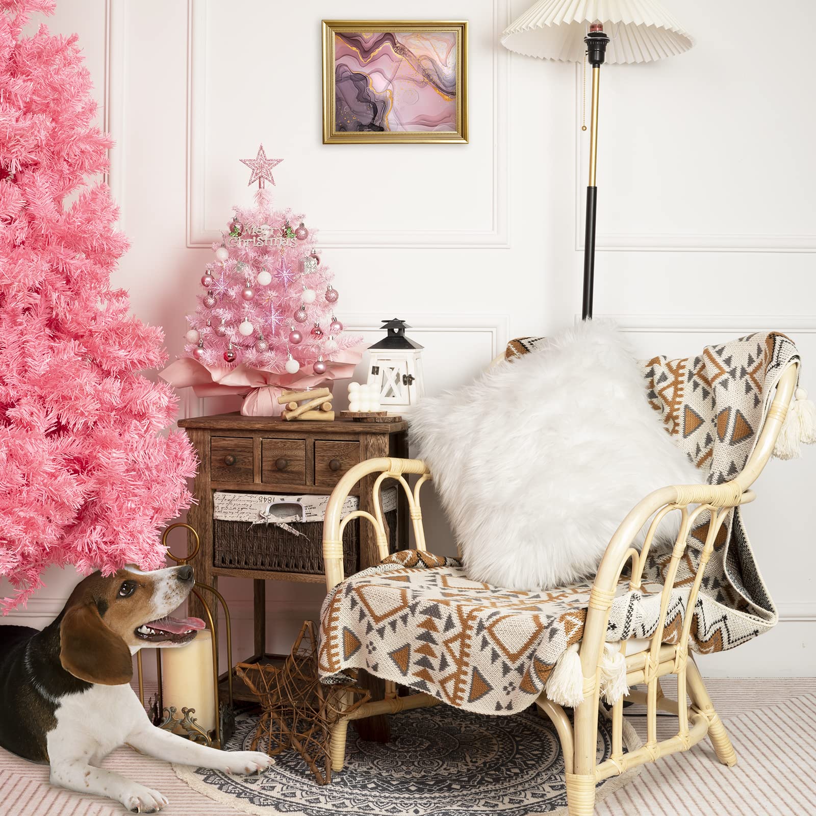 XmasExp tree beside books showing 20–23 inch scale for small spaces