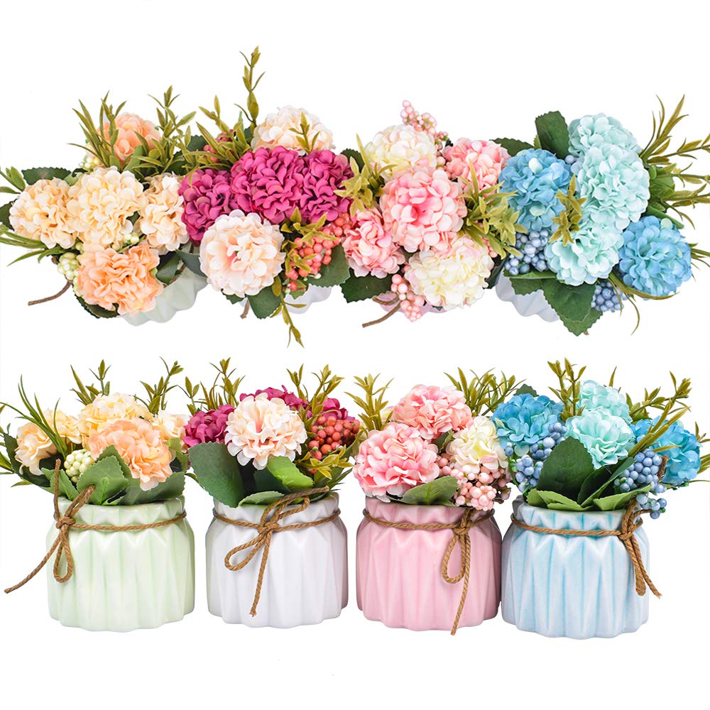 XONOR front view of mini hydrangea pot showing compact decor benefit