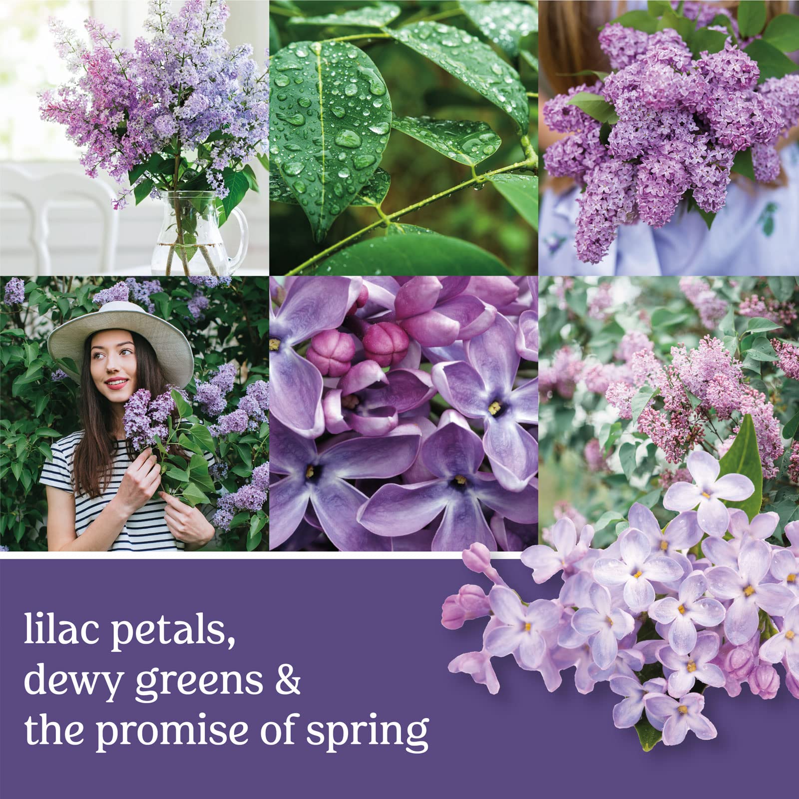 Yankee Candle lilac blossoms lit in living room, creating a warm floral ambiance for gatherings