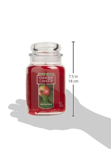 Yankee Candle Macintosh lit in living room creating cozy apple-orchard ambiance