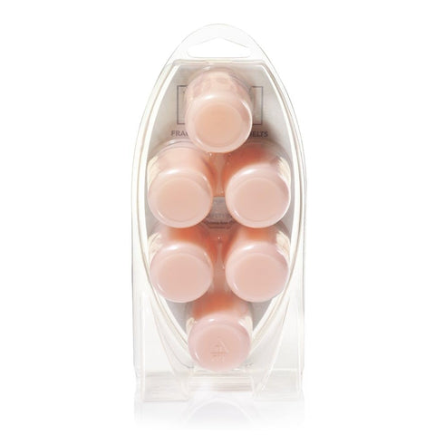 Yankee Candle melts next to a coin for scale showing compact refill size