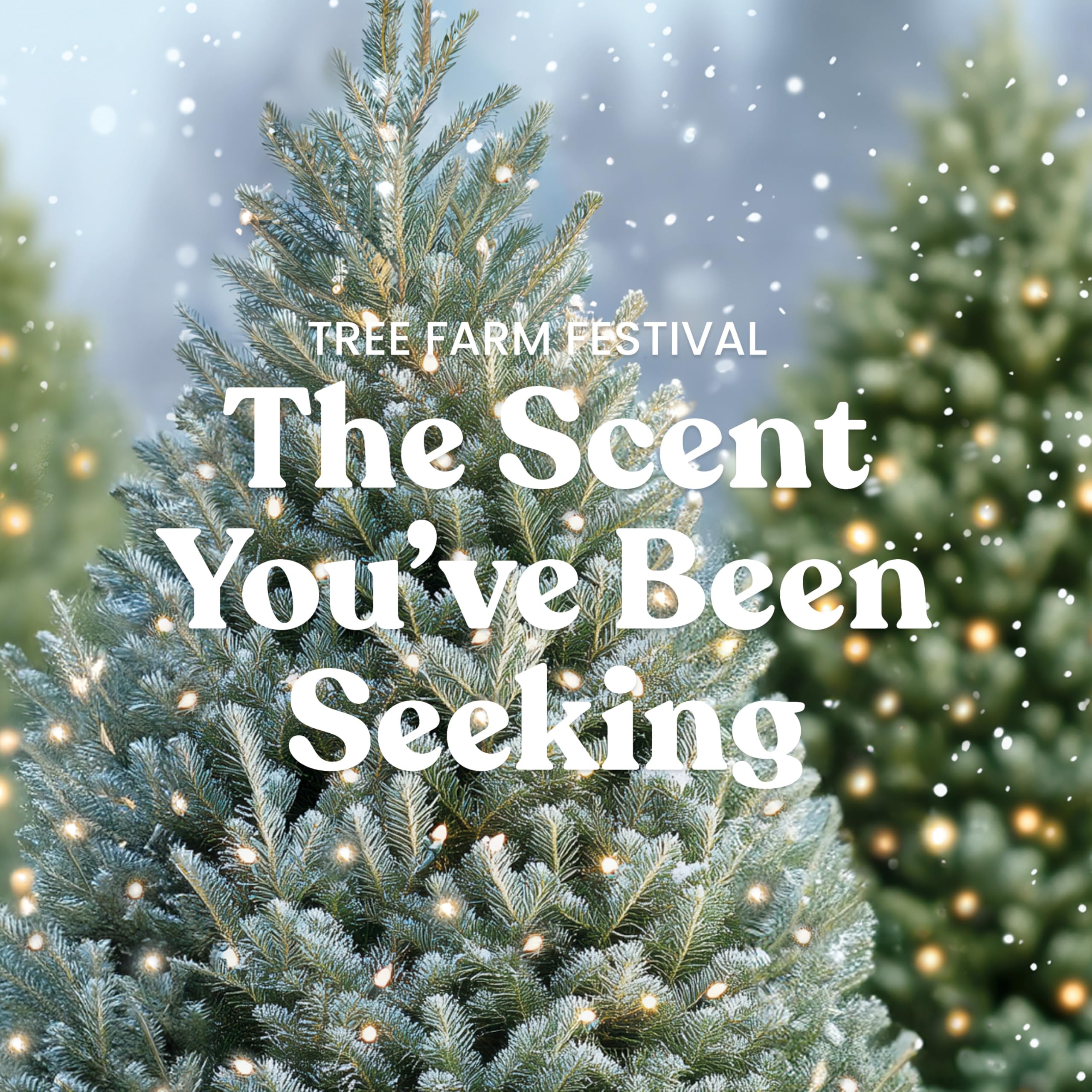 Yankee Candle closeup label highlighting Tree Farm Festival fragrance details
