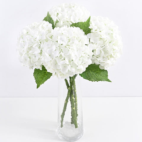 Yastouay front view showing four white hydrangea stems and packaging - elegant display