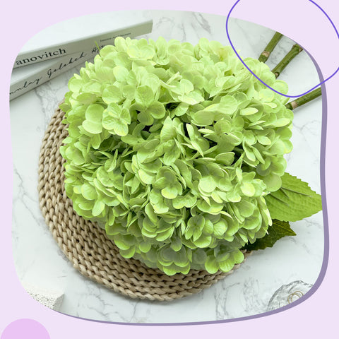 Yatim arrangement in clear vase illustrating easy styling and long-lasting decor benefit