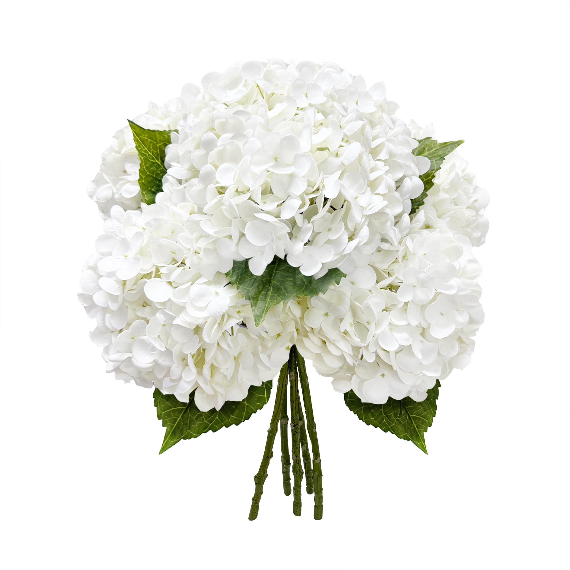 Yatim front view of five white hydrangea stems, ready to display and arrange