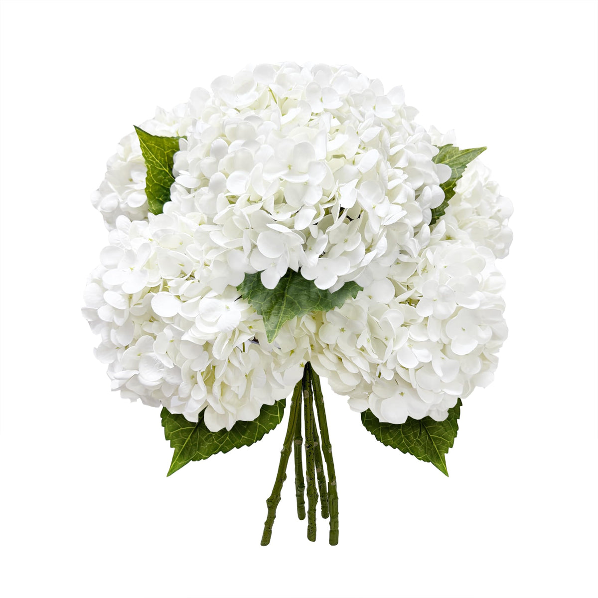 Yatim front view of five white hydrangea stems, ready to display and arrange