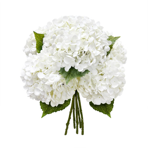 Yatim front view of five white hydrangea stems, ready to display and arrange
