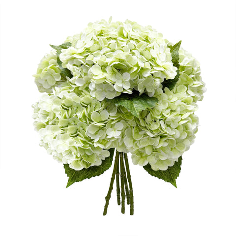 Yatim front view of five hydrangea stems showing full heads and natural look