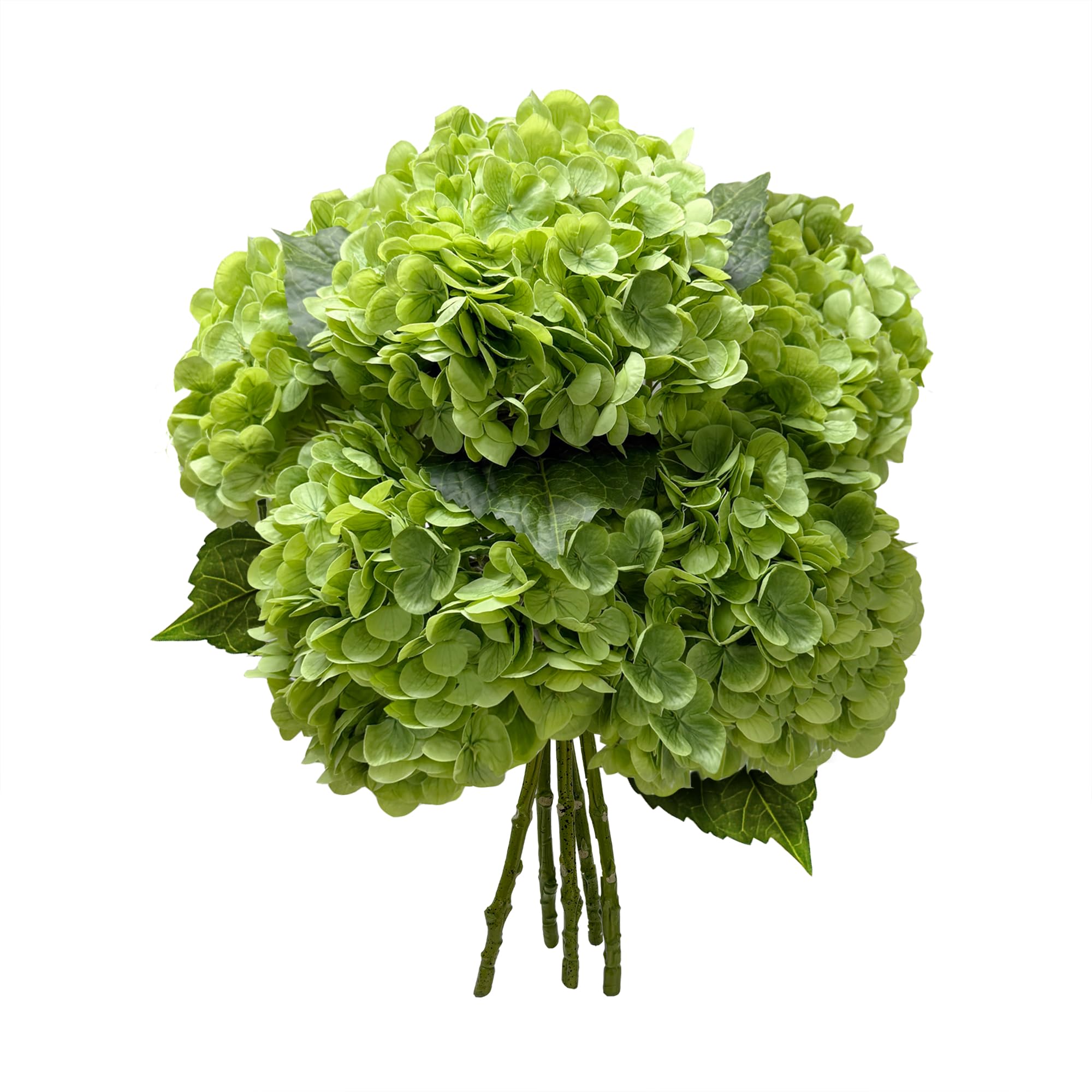 Yatim front view bottle green hydrangea showing full bloom benefit lifelike display