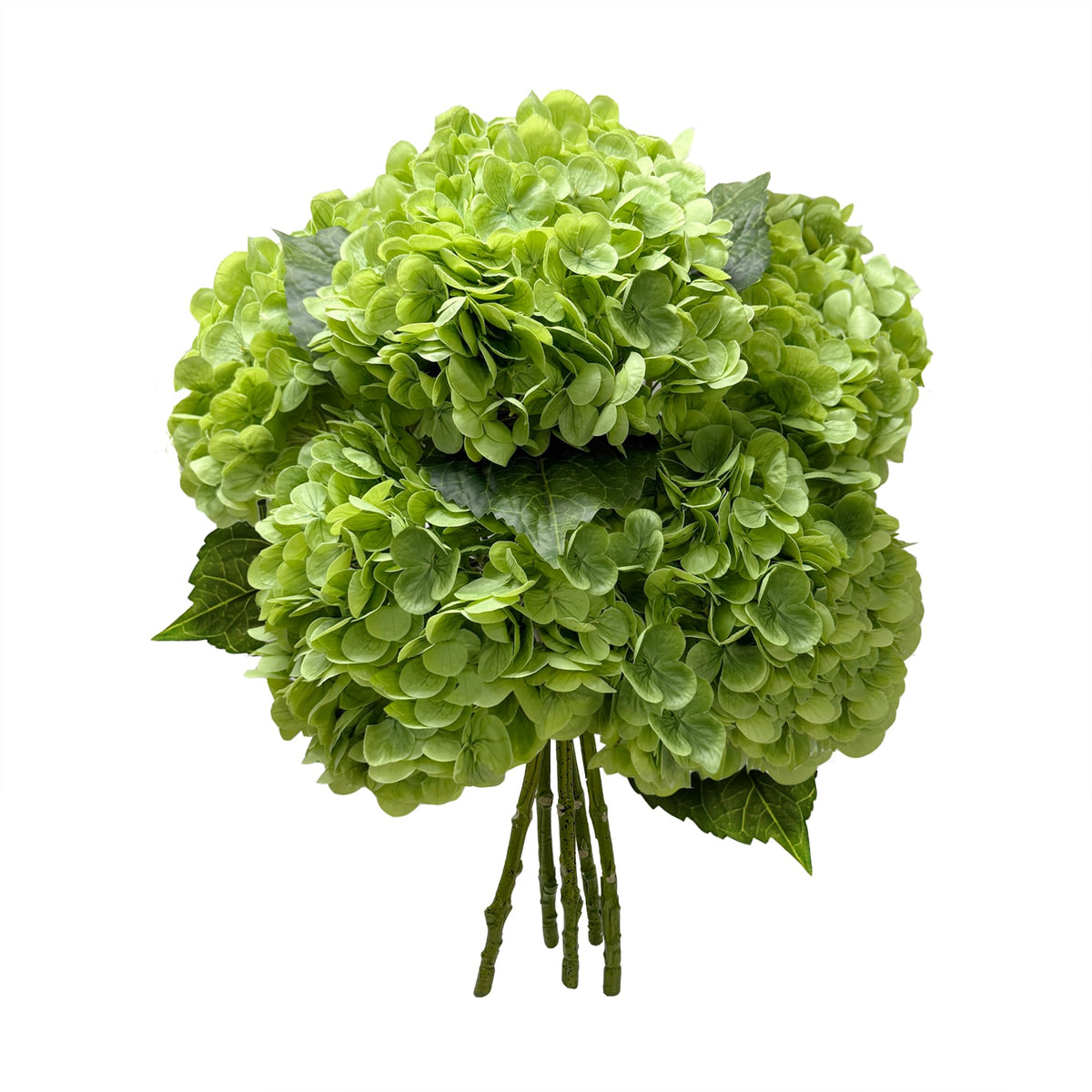 Yatim front view bottle green hydrangea showing full bloom benefit lifelike display