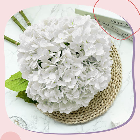 Yatim hydrangea stems arranged in a clear vase, adding long-lasting elegance