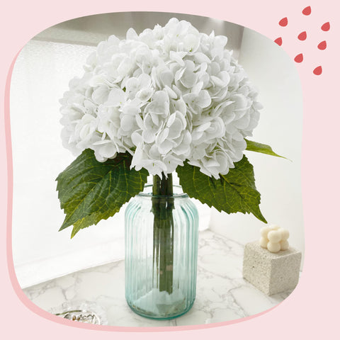 Yatim hydrangea next to ruler showing 21 inch length for size clarity