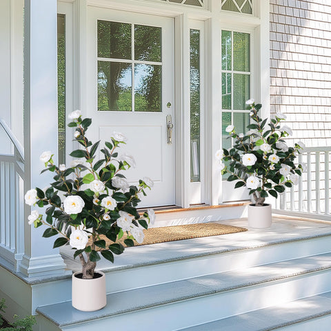 YEPDIN front view of two camellia trees showing balanced décor impact
