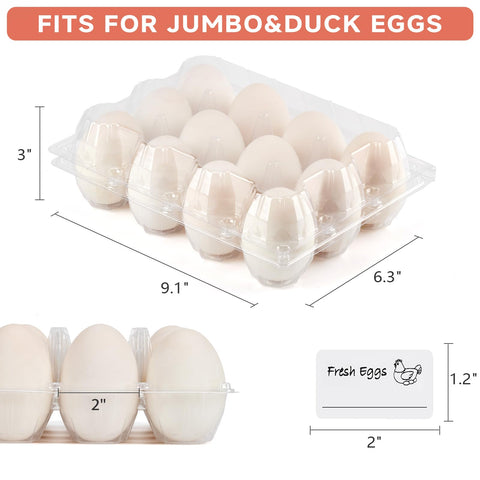 YIFIHGE open carton holding jumbo duck eggs for secure transport benefit