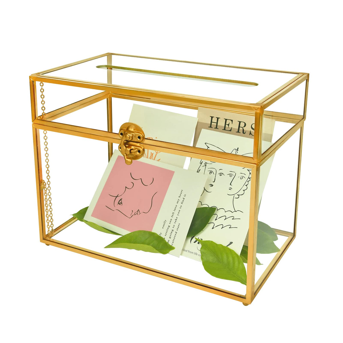 YIMORENCE V front view of gold glass card box showing elegant display benefit