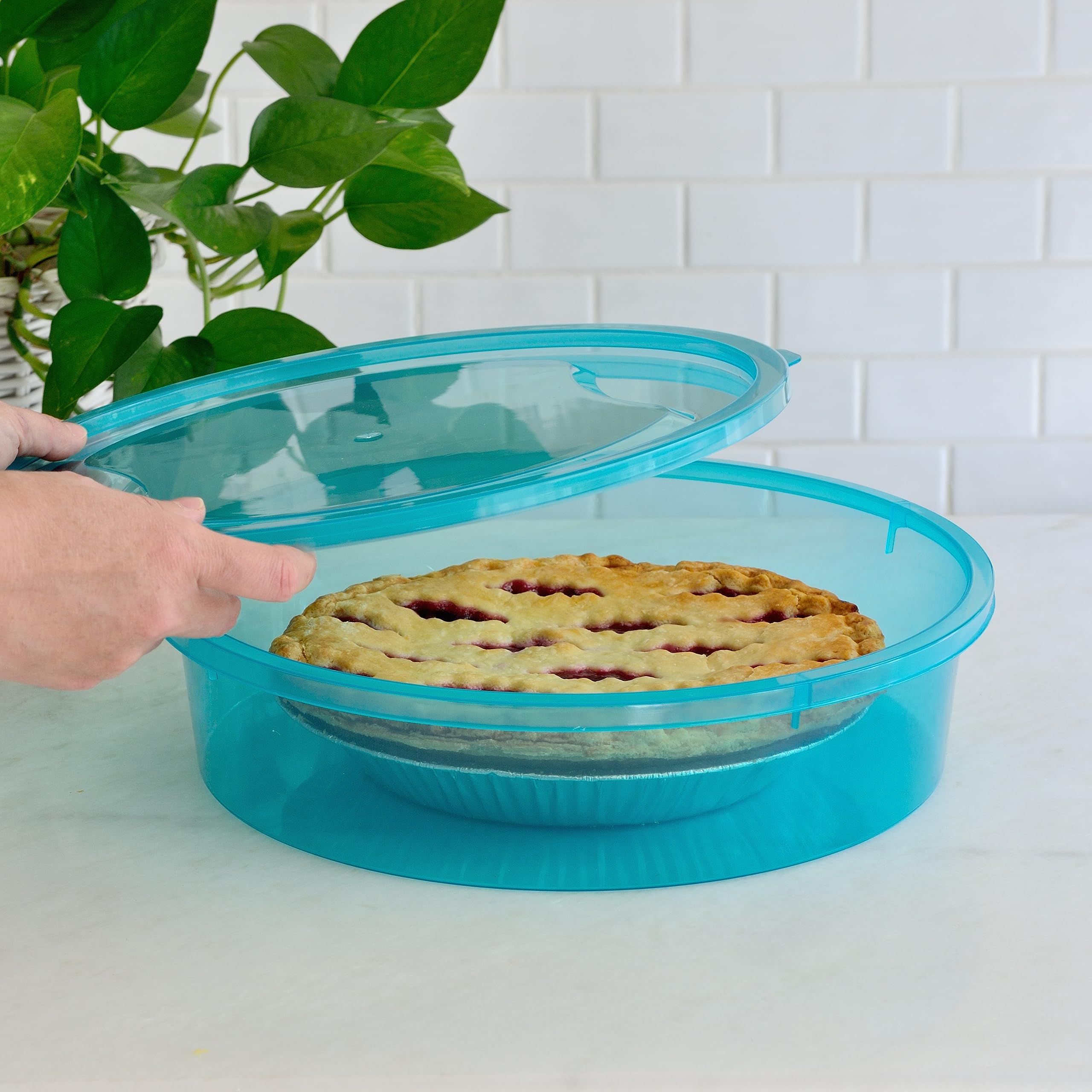 Youngever pie container in use with pie inside showing safe transport and presentation benefit