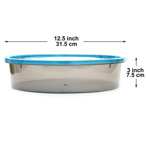 Youngever pie container beside a ruler showing 11-inch diameter for size clarity and fit